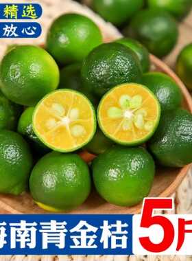 新鲜海南小金桔青桔当季小青橘子酸柠檬水果奶茶店专用1/3/5斤装