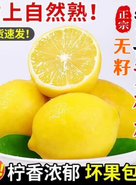 四川安岳无籽黄柠檬新鲜水果一级皮薄多汁奶茶店专用产地直发