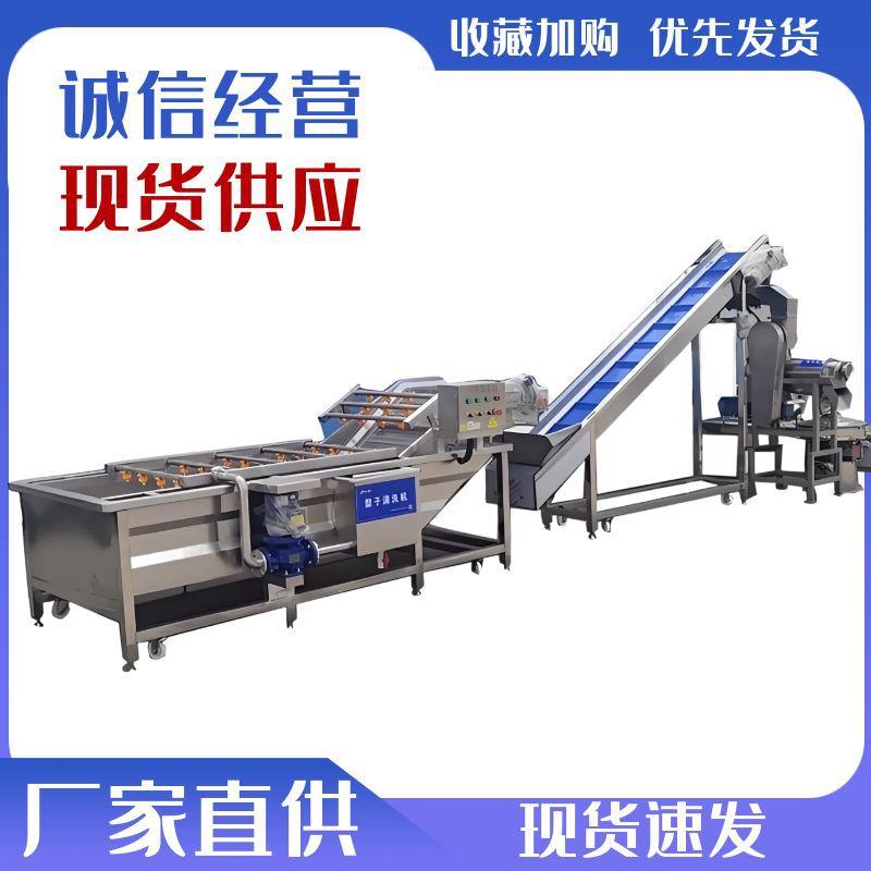椰子榨汁机小型不锈钢椰肉榨汁设备全自动商用不锈钢凤梨挤汁机