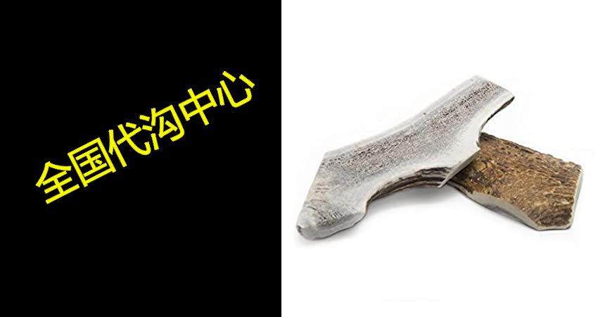 chipper critters all natural medium whole elk antler dog