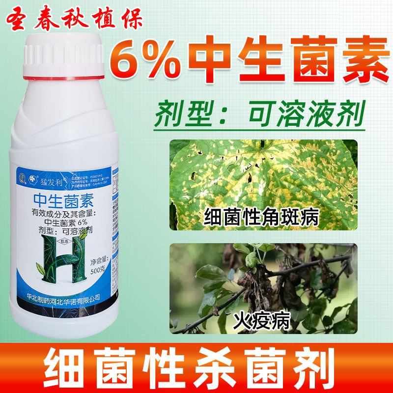 6%中生菌素黄瓜姜梨树溃疡细菌性角斑病火疫青枯软腐病农药杀菌剂 - 实物图