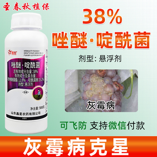 唑醚啶酰菌胺果树番茄辣椒蔬菜灰霉病专用药褐腐白绢病新型杀菌剂