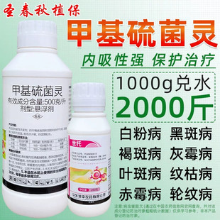 甲基硫灵菌杀菌剂水稻瘟病纹枯病番茄叶霉病白粉病黑斑炭疽病农药
