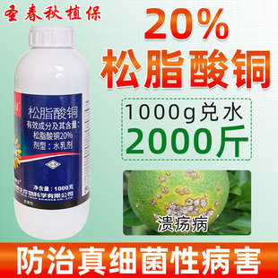20%松脂酸铜酮柑橘果树蔬菜溃疡病角斑病霜霉软腐病细菌性杀菌剂