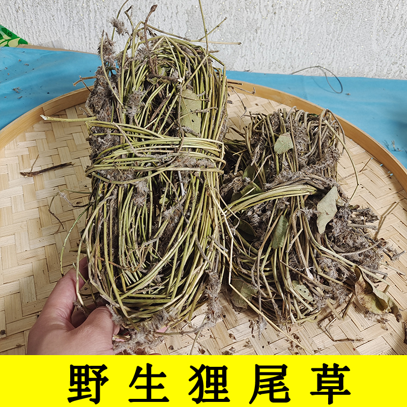 纯野生狸尾草羊咩香自然晾晒干货煲水煲汤养生中草药500克干货