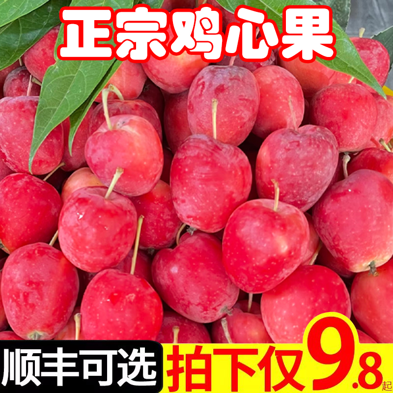 东北正宗鸡心果锦绣海棠果新鲜孕妇应季水果整箱顺丰包邮秋沙果10