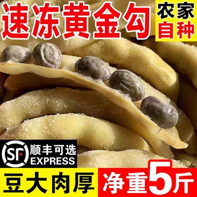 东北正宗黄金勾豆角新鲜顺丰包邮