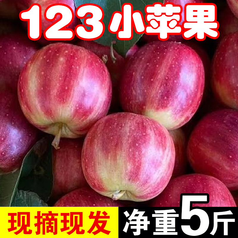 正宗东北特产123小苹果现摘现发