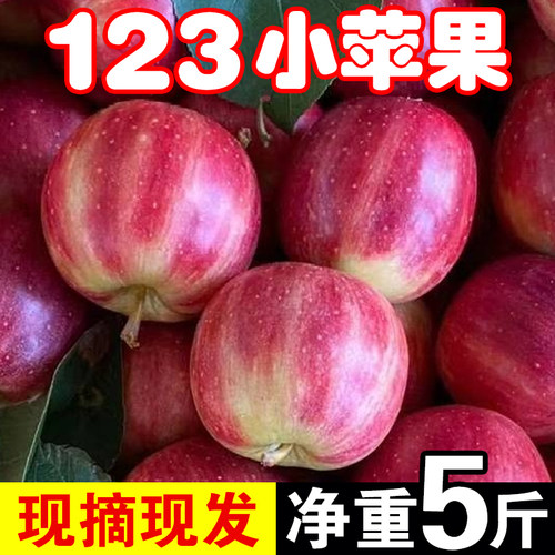 正宗东北特产123小苹果现摘现发