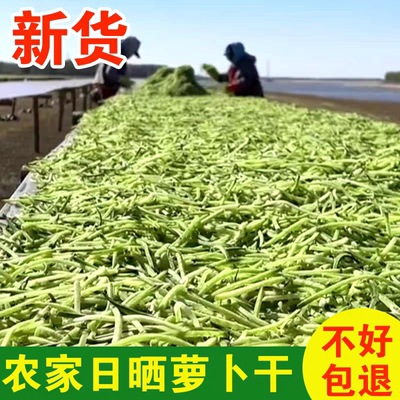 东北农家日晒无盐萝卜干