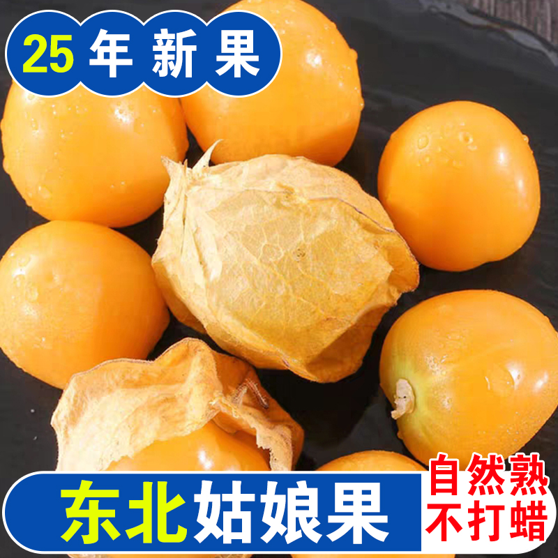 东北菇娘果新鲜现摘现发