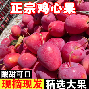 包郵 小蘋果秋果 孕婦水果整箱 東北特產雞心果沙果錦繡海棠果應當季