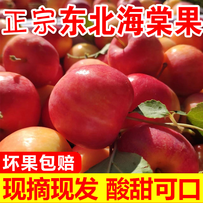 东北沙果黄太平海棠果小沙果小苹果酸甜孕妇水果 整箱包邮