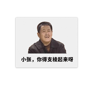 小张你得支棱起来呀趣味办公鼠标垫小号锁边防滑厚姓氏文字定制