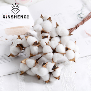 芯苼 饰挂件铁丝杆材料手工花艺diy礼物花盒配饰 天然棉花鲜花束装