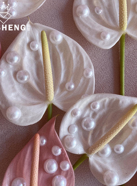 芯苼 平底白色仿珍珠贴面花艺造型网红配饰鲜花束包装diy材料礼盒