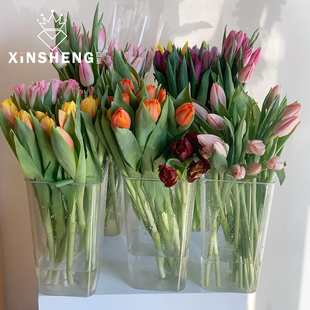 饰高颜值 高透明耐摔花桶专业醒花瓶花店家居插花艺装 芯苼 ins韩式