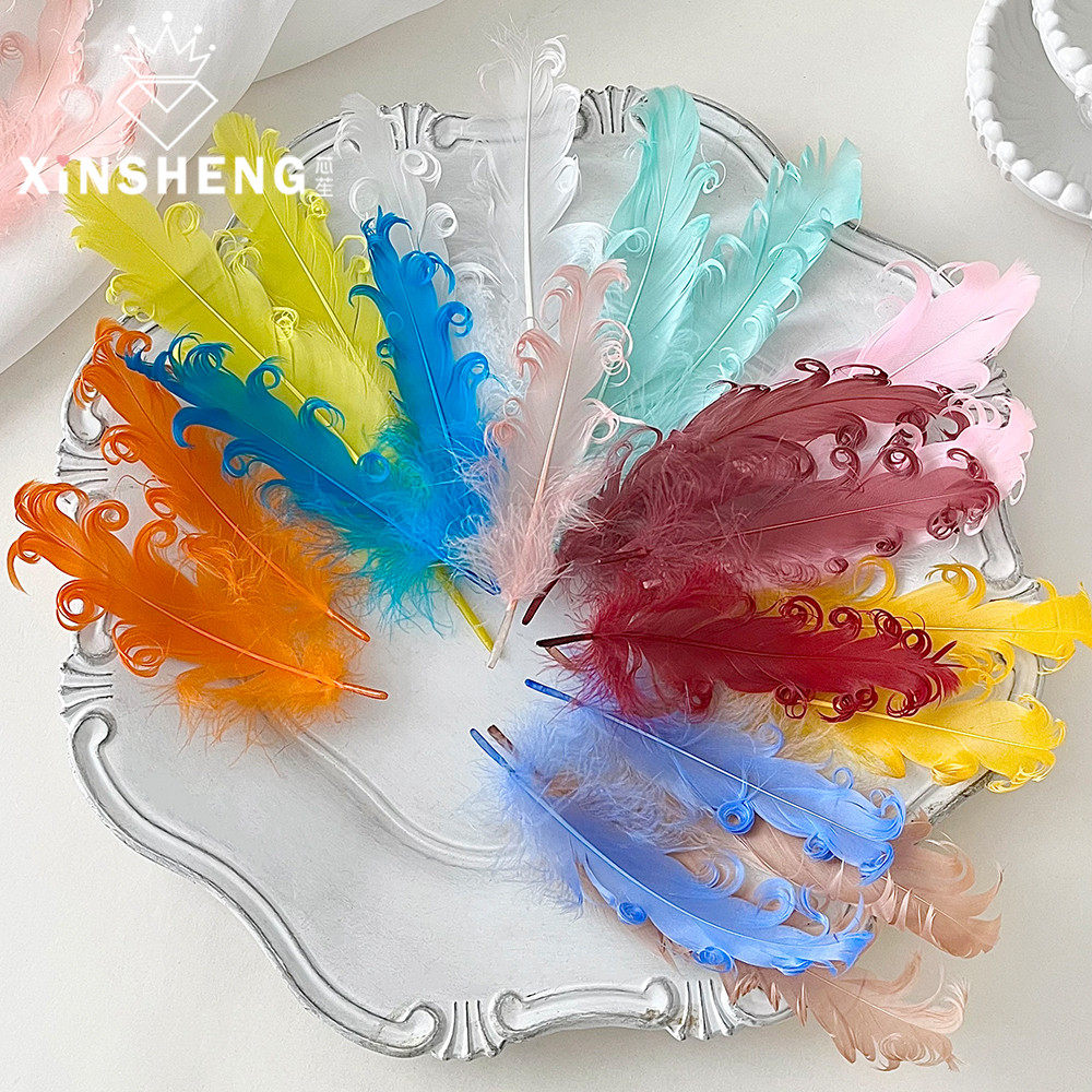 芯苼彩色造型羽毛缤纷羽毛