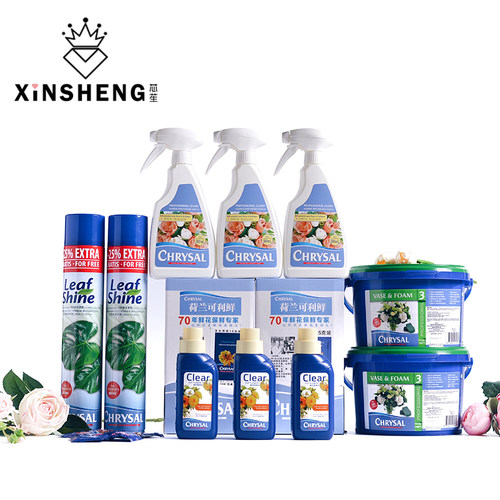 芯苼荷兰进口鲜花束可利鲜