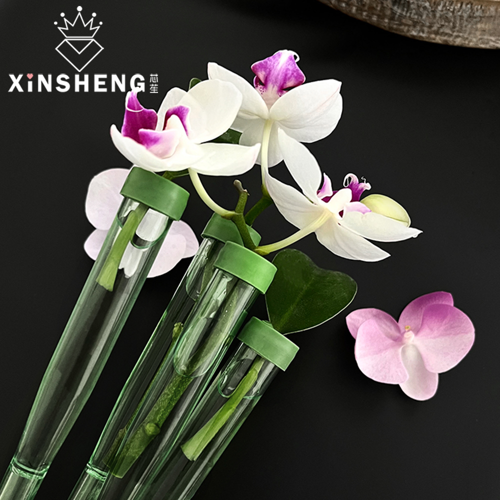 芯苼带杆加长鲜花储水管