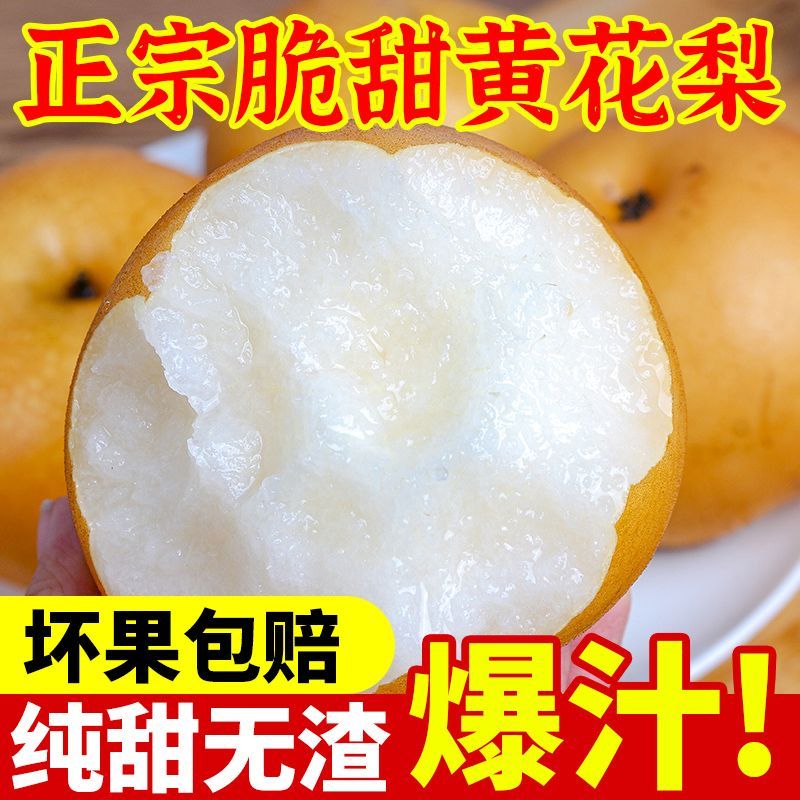 正宗黄花梨丰水梨南水梨新鲜黄皮沙梨水果大果冰糖现摘当季送礼y