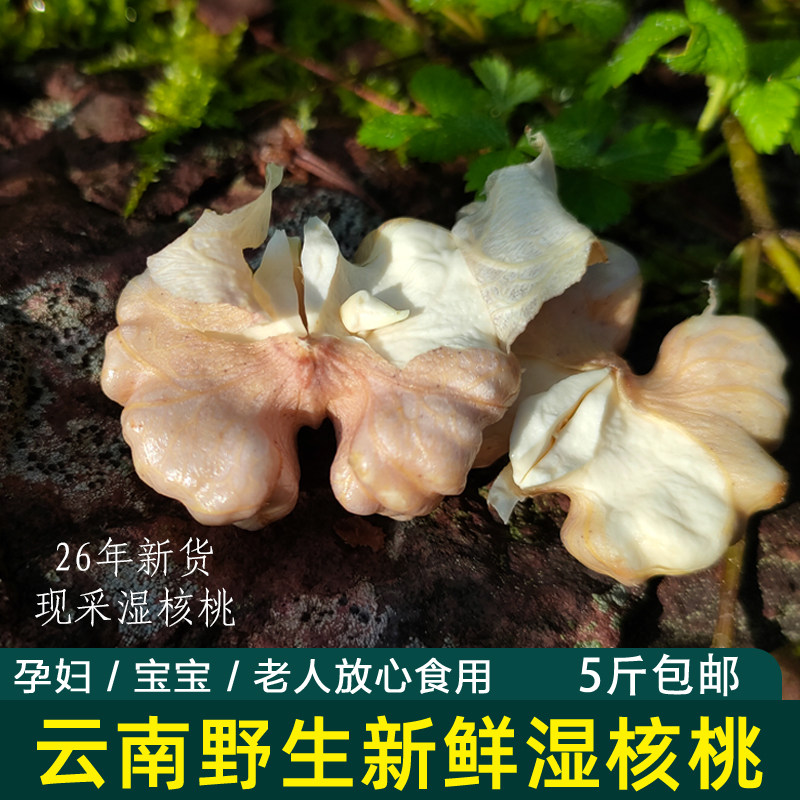 26年云南新货新鲜野生老树紫米湿核桃薄皮甜核桃去青皮鲜嫩5斤装