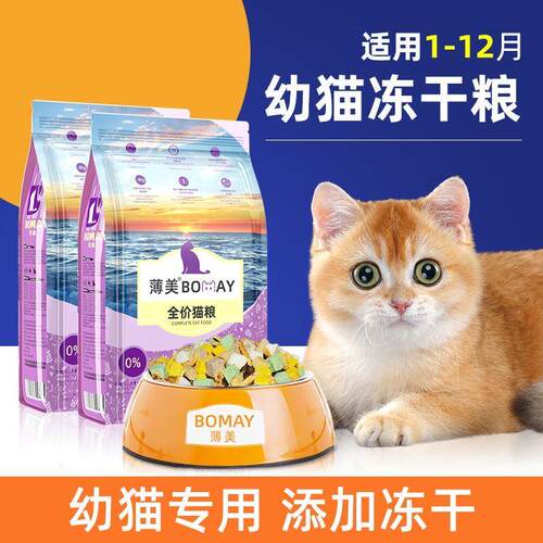 英短金渐层专用猫粮幼猫1