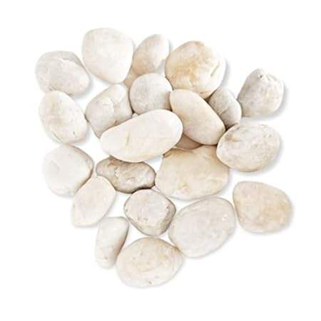 PGN White River Rocks for Plants- 5 Pounds- White Rocks