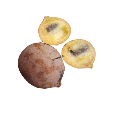 热带水果印尼香波果稀有新鲜水果