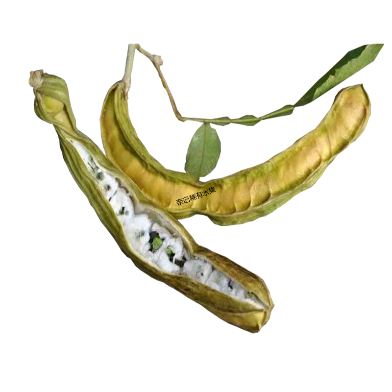 冰淇淋豆果热带稀有新鲜水果璇夹冰淇淋豆印加豆香草冰淇淋果同城