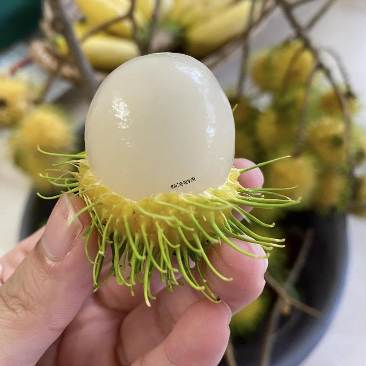 黄金红毛丹5斤礼盒新鲜热带稀有水果毛荔枝当季整箱包邮水果包邮