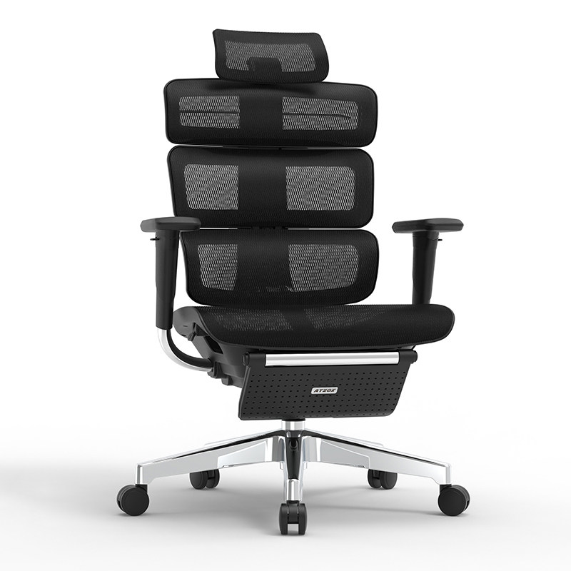 新款Erbgomax Evolution2 电脑椅人体工学椅家用电竞椅办公椅子靠