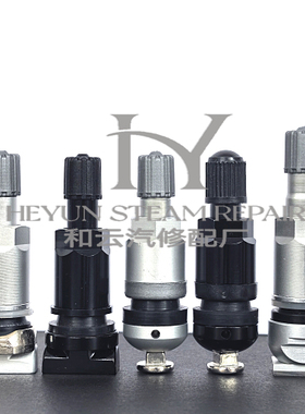 适用奔驰ML250 ML350 ML400 ML500 ML300 ML 胎压监测气门嘴 气嘴