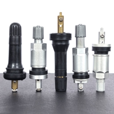 比亚迪胎压监测传感器气门嘴