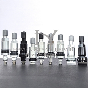 适用雷克萨斯 RX300 RX270 RX350 RX450 胎压监测气门嘴 专用气嘴