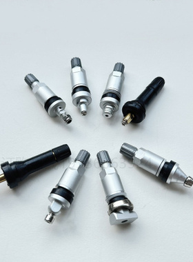 适用比亚迪 S2 S3 S5 S6 S7 S8 T3 G3R胎压监测传感器气门嘴