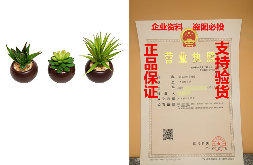 potted artificial mini succulent plants, set of 3