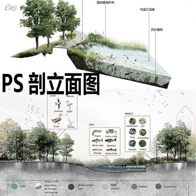 LM9竞赛风灰调小清新滨水湿地公园psd剖立面海绵城市分析图ps素材