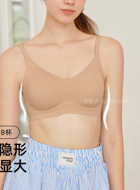 内衣女聚拢小胸显大加厚漫画胸无痕无钢圈收副乳防下垂软支撑文胸