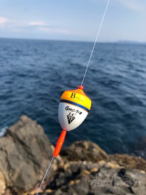 日本制钓研超敏感型浮漂