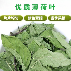 安徽太和薄荷叶茶新鲜食用干薄荷叶泡茶新货薄荷叶颗粒茶散装