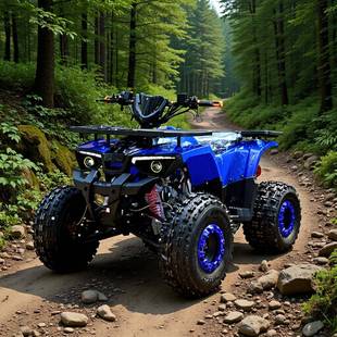 厂家直销125CC150CC沙滩车成人款越野车全地形车ATV跨境雪地车