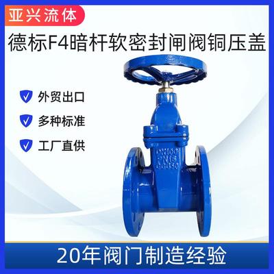 暗杆软密封弹性座封法兰小体闸阀GGG50DN200河北华汇