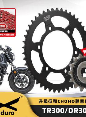 适用豪爵DR300/TR300/XCR300降噪大齿盘链轮征和X2油封链条三件套
