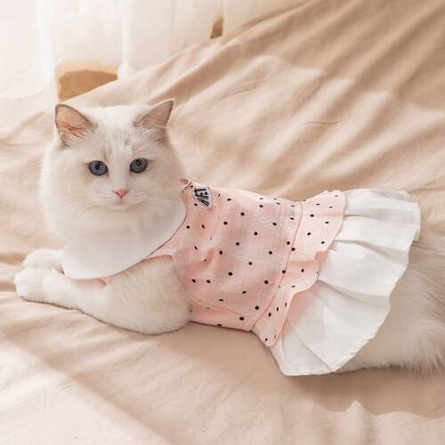 嬉皮狗宠物服饰秋冬季公主风淑女连衣裙子小型犬狗狗服装猫咪衣服