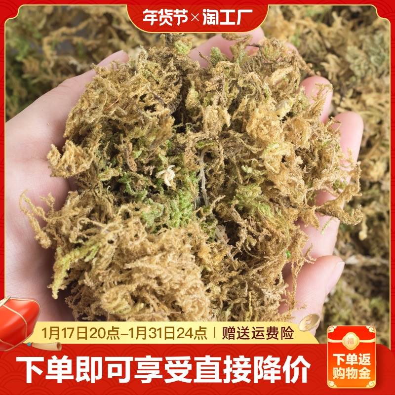 水苔藓青苔蝴蝶兰石斛兰花专用营养土乌龟爬宠造景垫材植物干苔藓 鲜花速递/花卉仿真/绿植园艺 家庭园艺肥料 原图主图