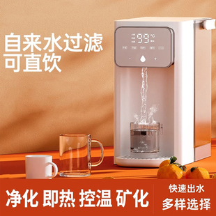 饮水机家用台式 德国即热式 净饮机桌面开水饮水器小型净饮一体机