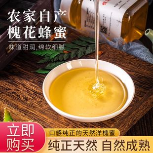 槐花蜜500g纯正农家自产蜂巢原蜜结晶正宗品质土蜂蜜特产 2021新款