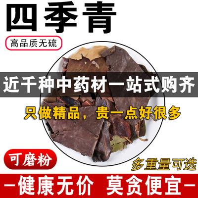 精品四季青中药材正品无硫冬青叶树顶子一口血可免费代磨粉500克g