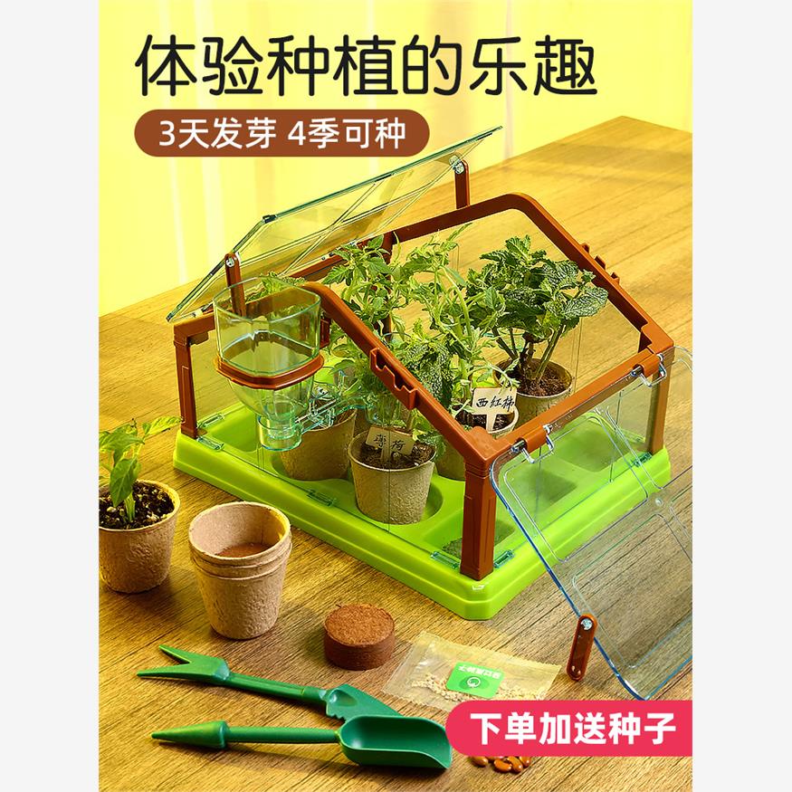 圣诞节礼物种菜网红手工